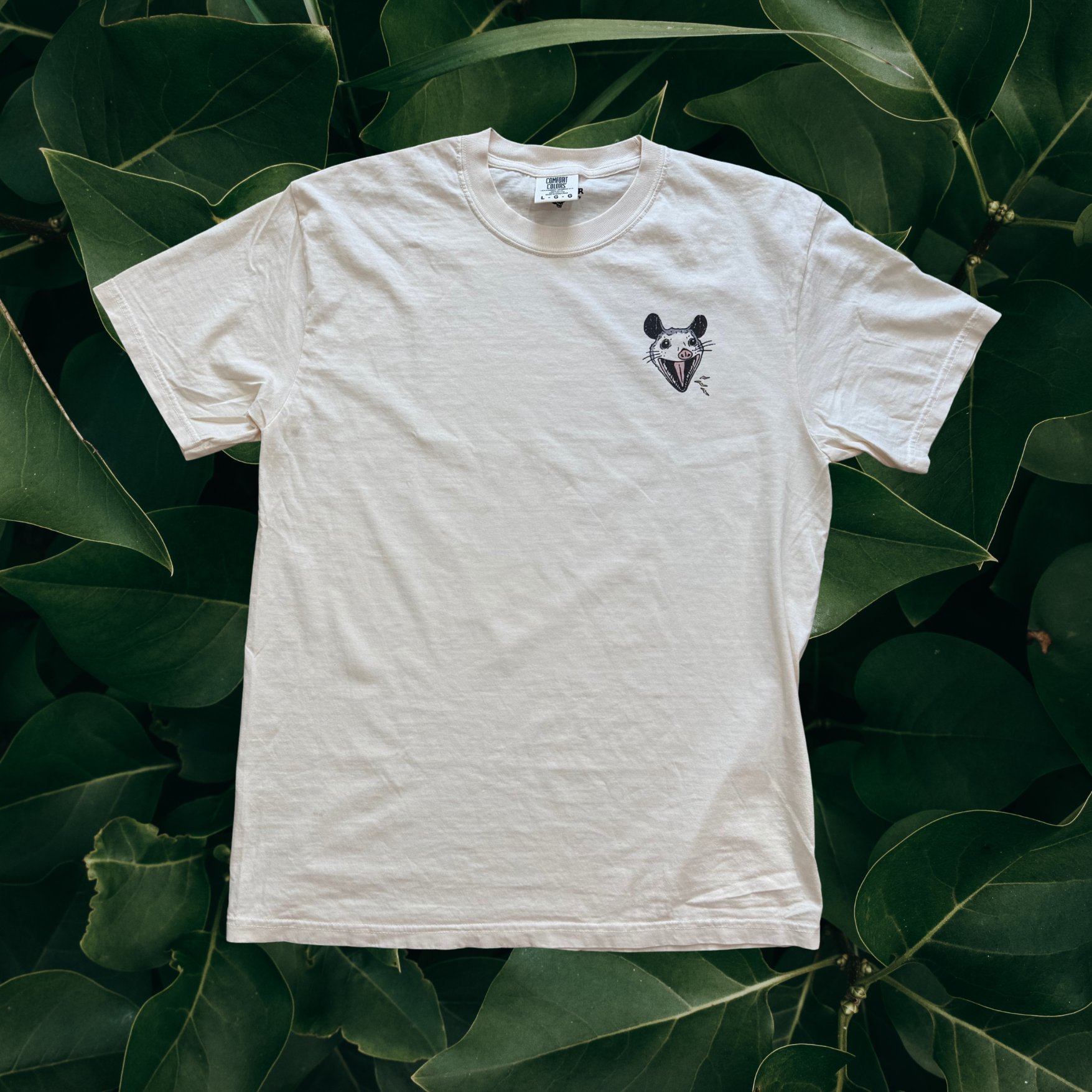 Hell I Won't // T-shirt or Women's crop