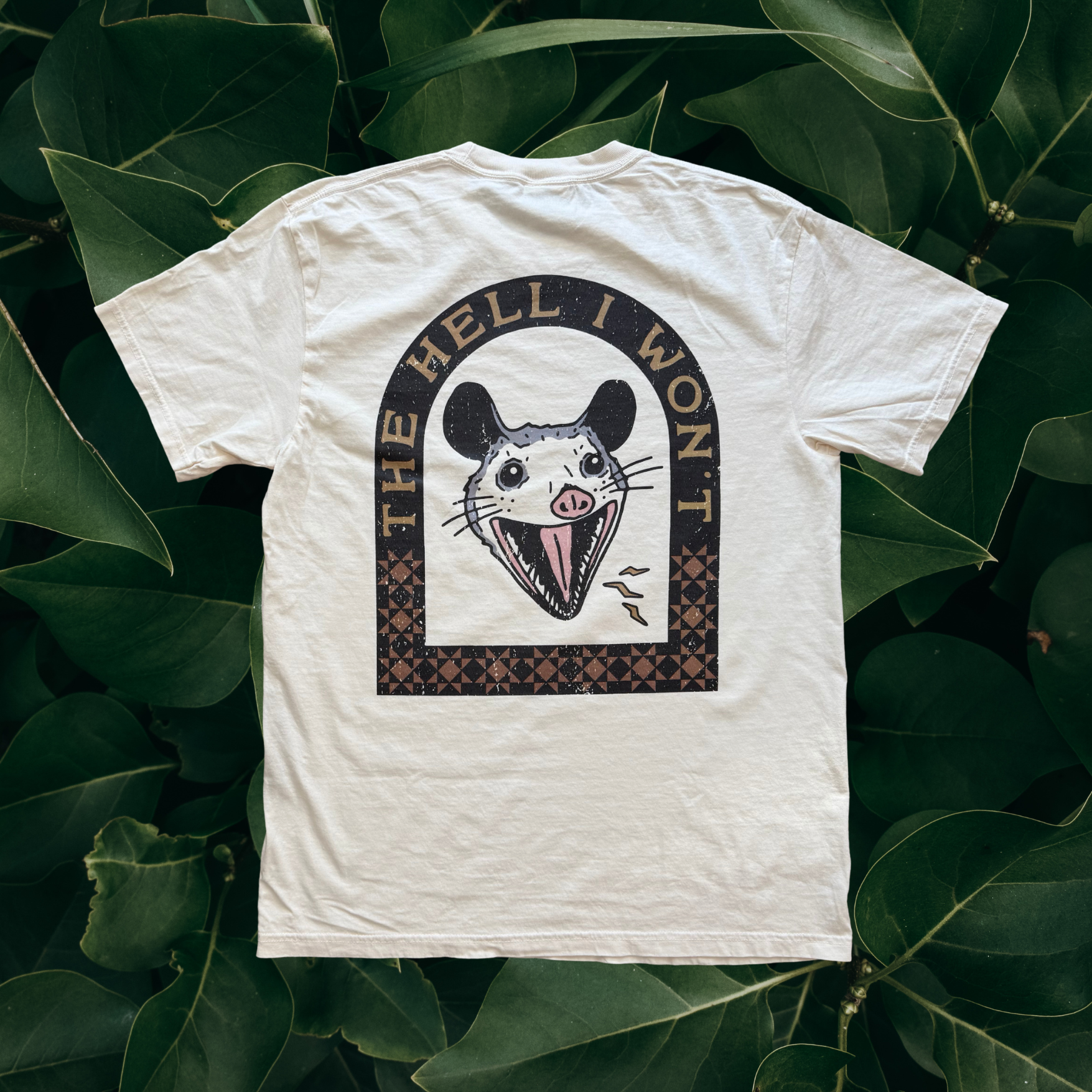 Hell I Won't // T-shirt or Women's crop