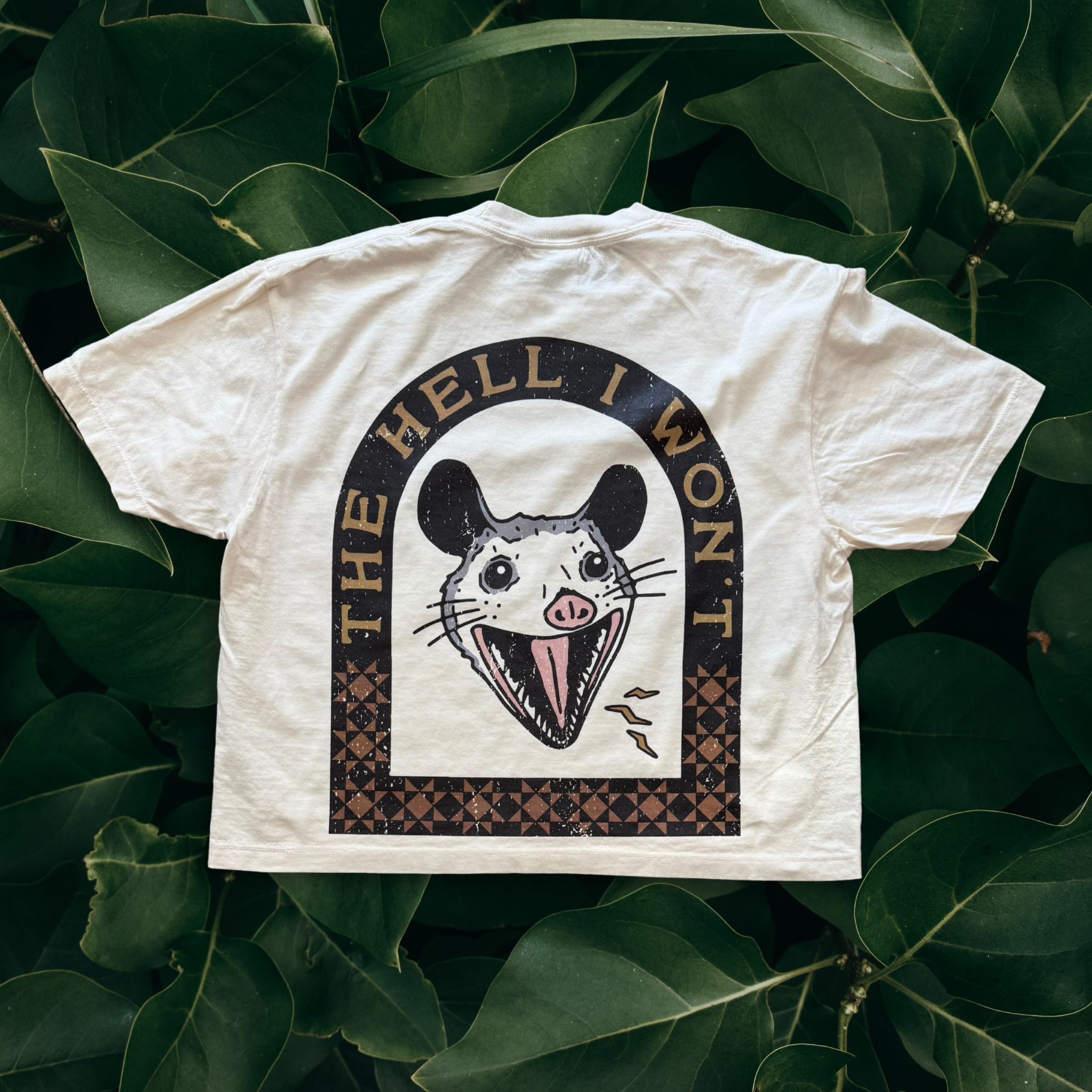 Hell I Won't // T-shirt or Women's crop