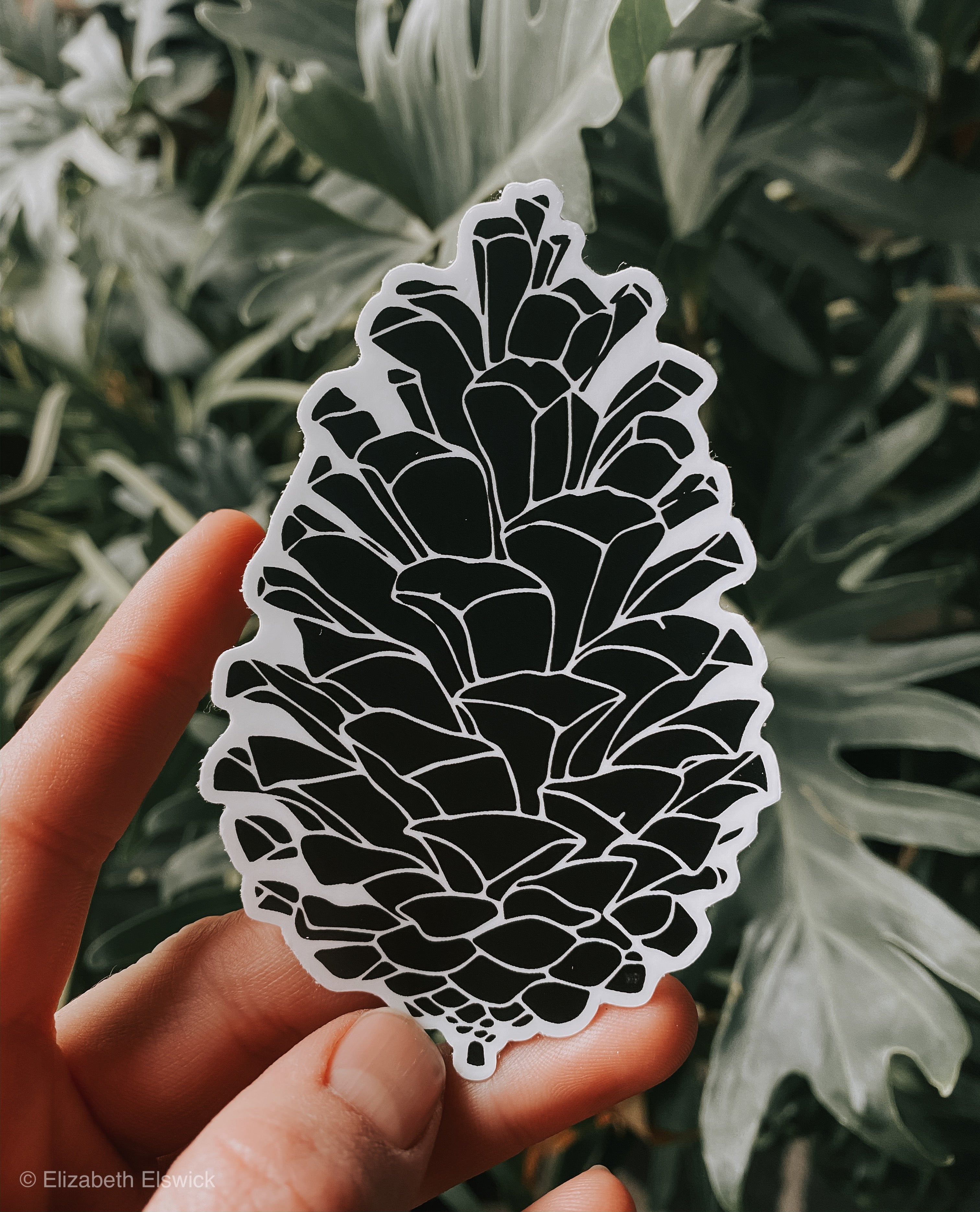 pinecone // sticker