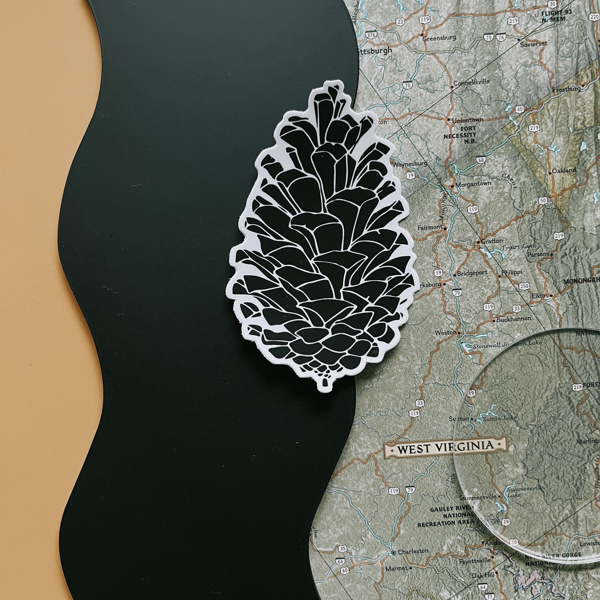 pinecone // sticker
