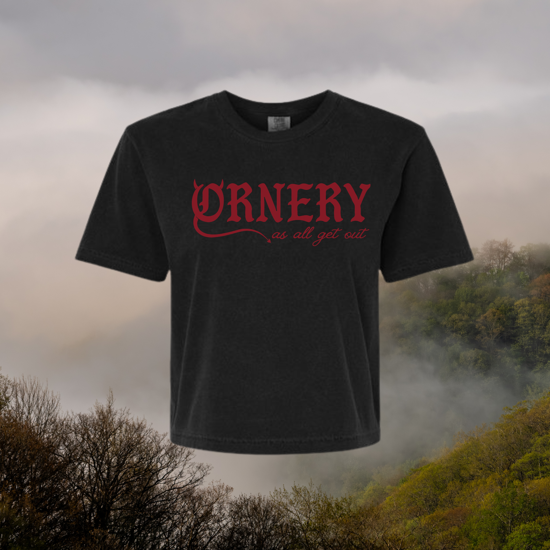  T-shirt or Women's crop