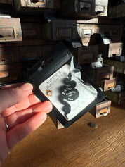 Careful now snake // enamel pin