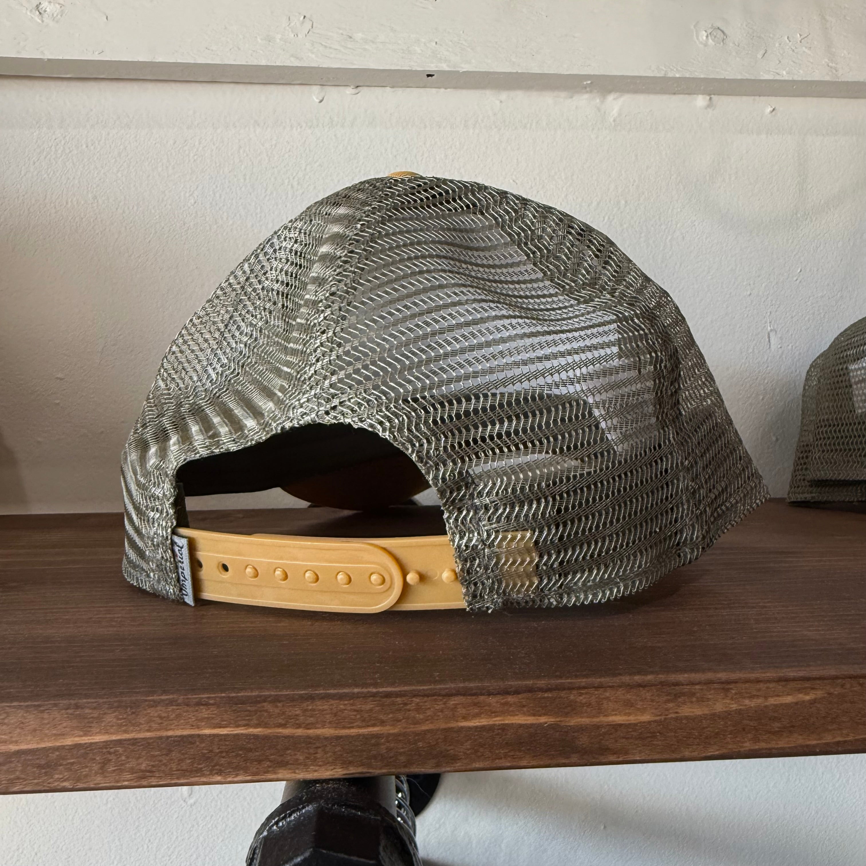 Brook trout // trucker hat
