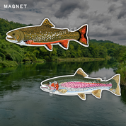 Trout // magnet