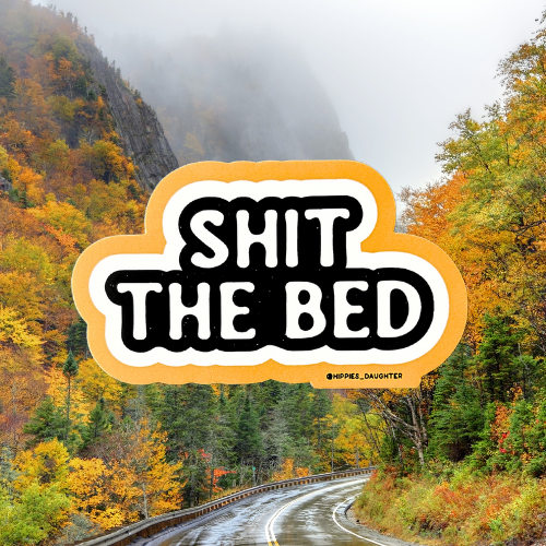 Shit the bed // sticker