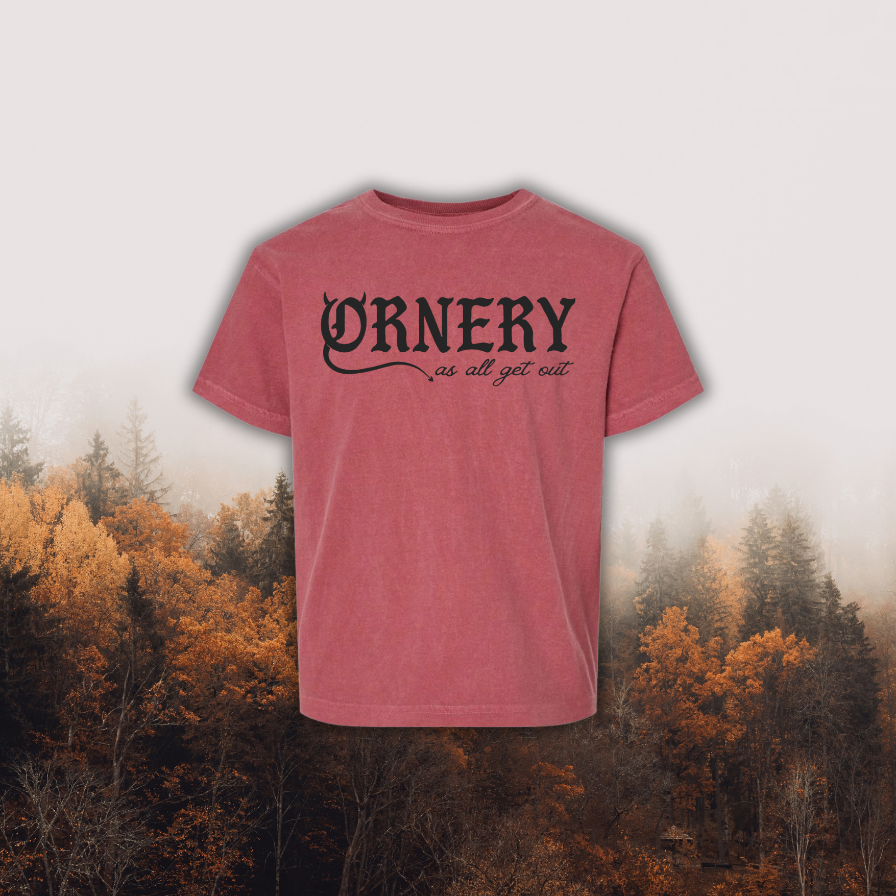 Ornery // YOUTH t-shirt