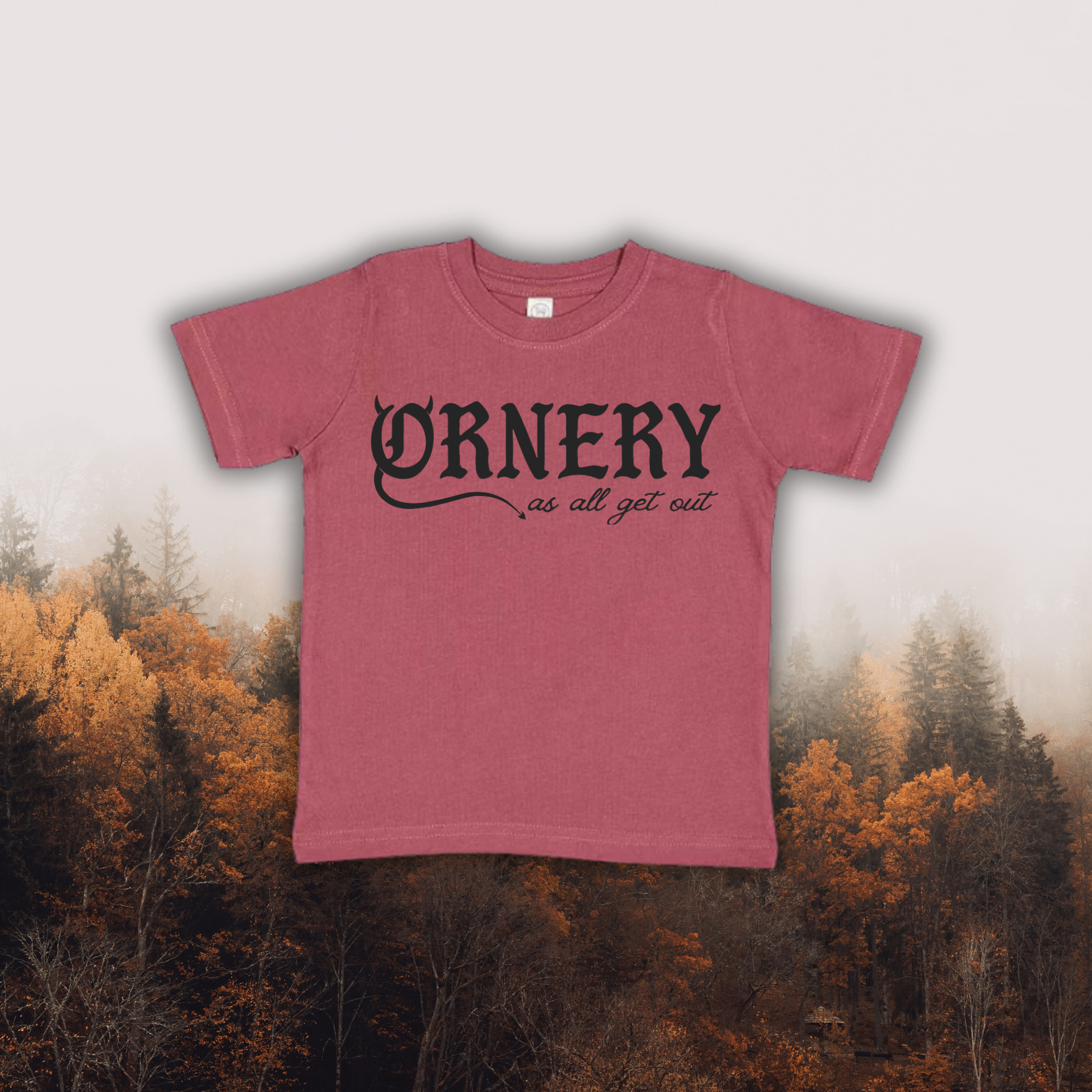 Ornery // TODDLER t-shirt