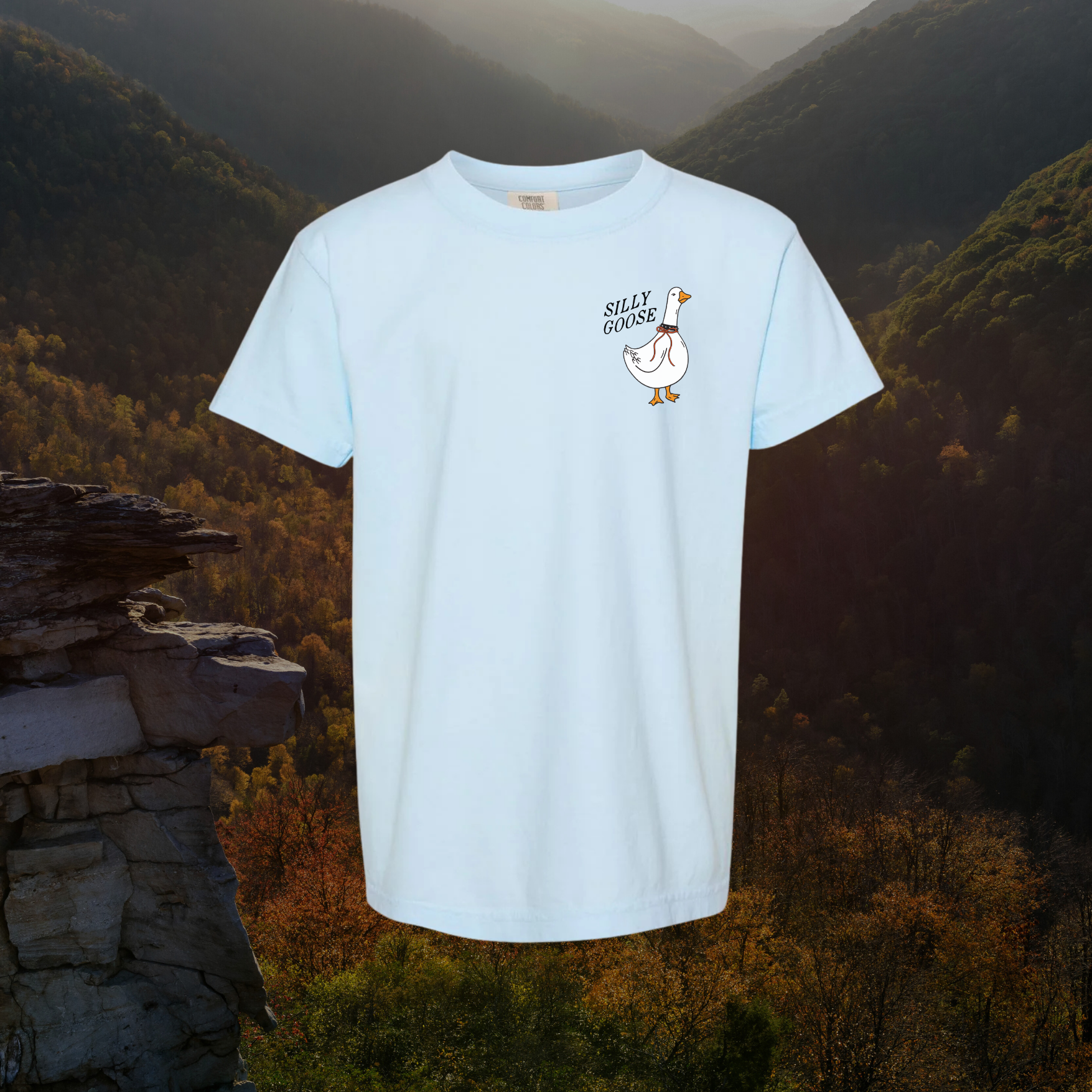 Silly Goose // YOUTH t-shirt