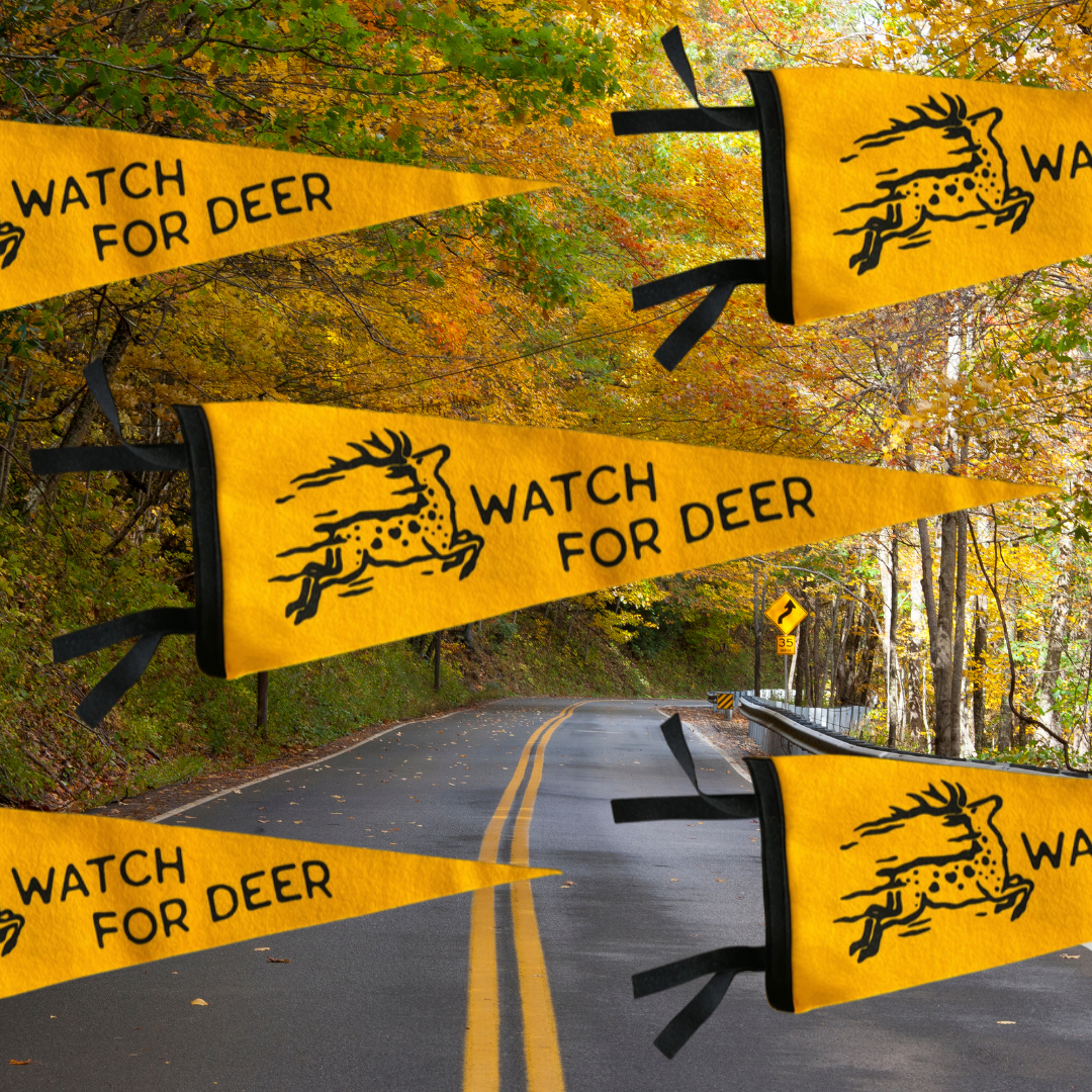 Watch for deer // Pennant