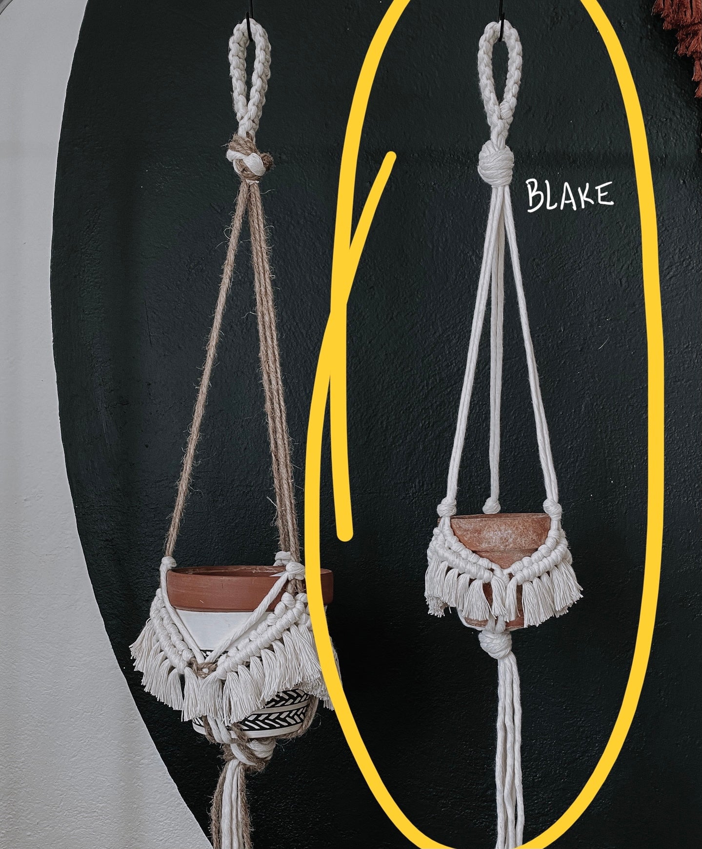 fringe macrame plant hanger blake // fringe macrame plant hanger – Hippie's Daughter