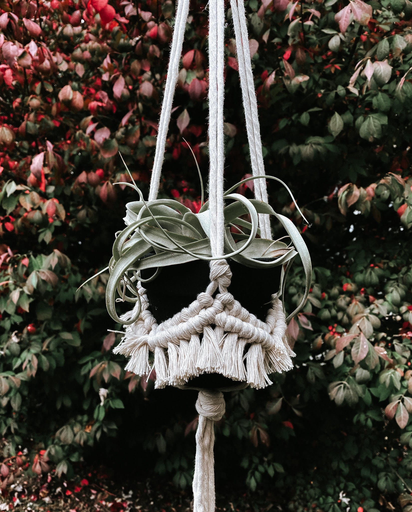 macrame plant hanger with fringe blake // fringe macrame plant hanger – Hippie's Daughter